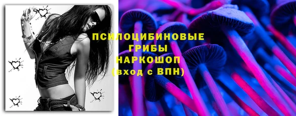 гидра Белокуриха
