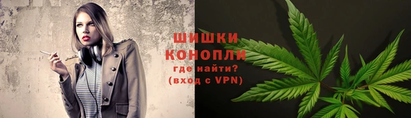 гидра Белокуриха