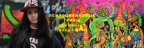 гидра Белокуриха